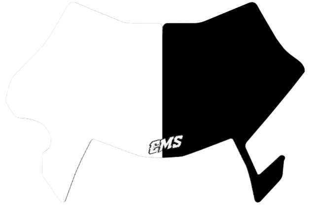 Ultra bee plate decal